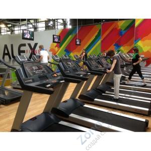 Беговая дорожка AeroFIT 8600TM LCD Pro