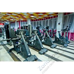 Велотренажер AeroFIT 9500R 7LCD