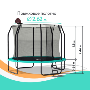 Батут Wallaby Sydney 10 FT Basketball