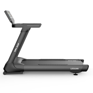 Беговая дорожка Orlauf Leguan