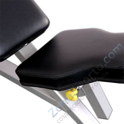 Бицепс сидя на свободных весах Protrain SM792