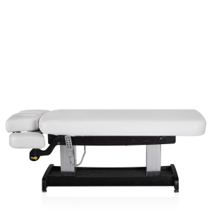 Электрический стационарный массажный стол Mizomed Union Salon
