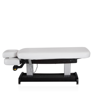 Электрический стационарный массажный стол Mizomed Union Salon