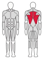 Тренажер Рычажная тяга Fitex FTX-82007 