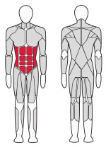Скамья анатомическая V-Sport HL006