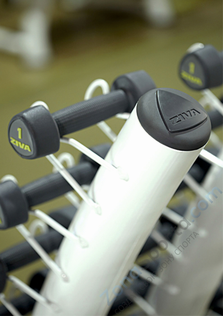 Стойка для студийных гантелей Ziva ZST-VS30-6001