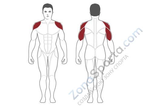 Жим от плеч Steel Flex Hope HSP800
